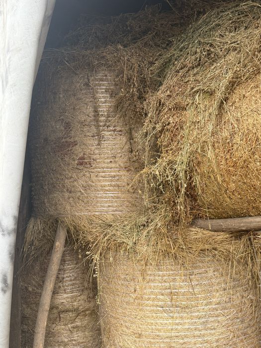 Vand baloti de fan si lucerna