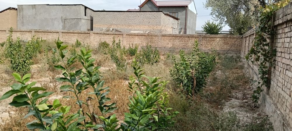 Ер сотилади СРОЧНО 8 сотих 20/40