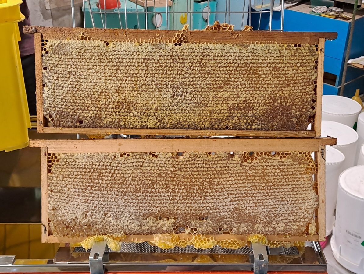 Продавам Натурален Пчелен Мед