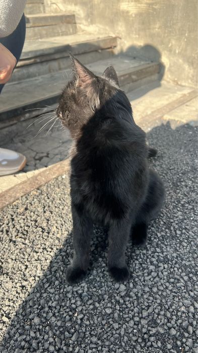 .	Помогите малышу встретить зиму в тепле