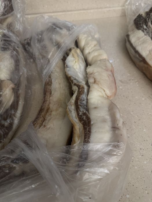 Продам қазы (казы) конина