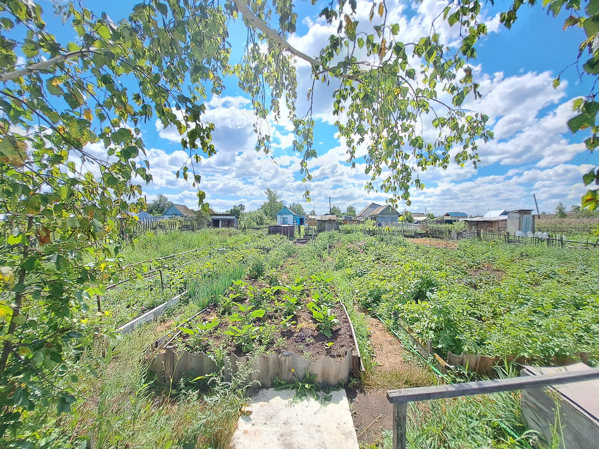 Продаётся дача в садовотческом обществе Борки