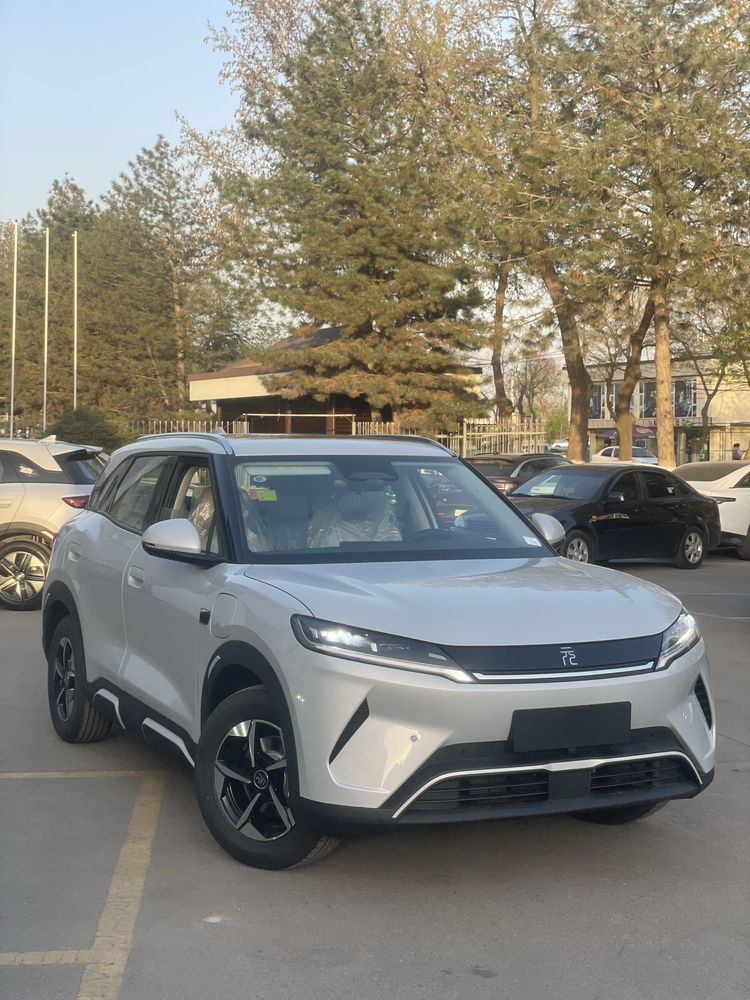 Byd Yuan Up Smart full 2025 Restailing