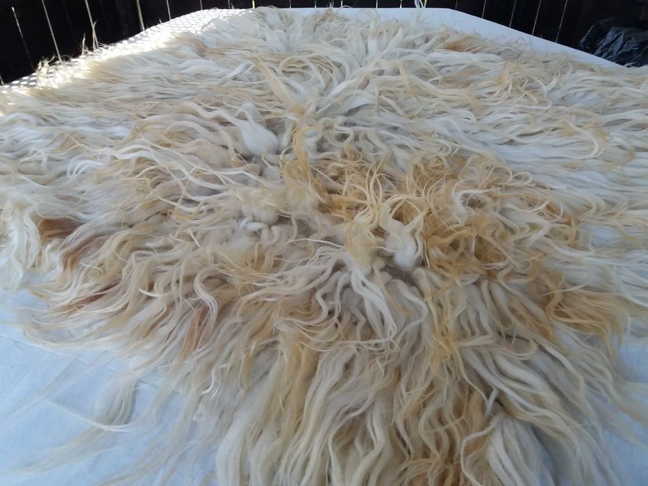 Халища за механа или дом нови 5бр