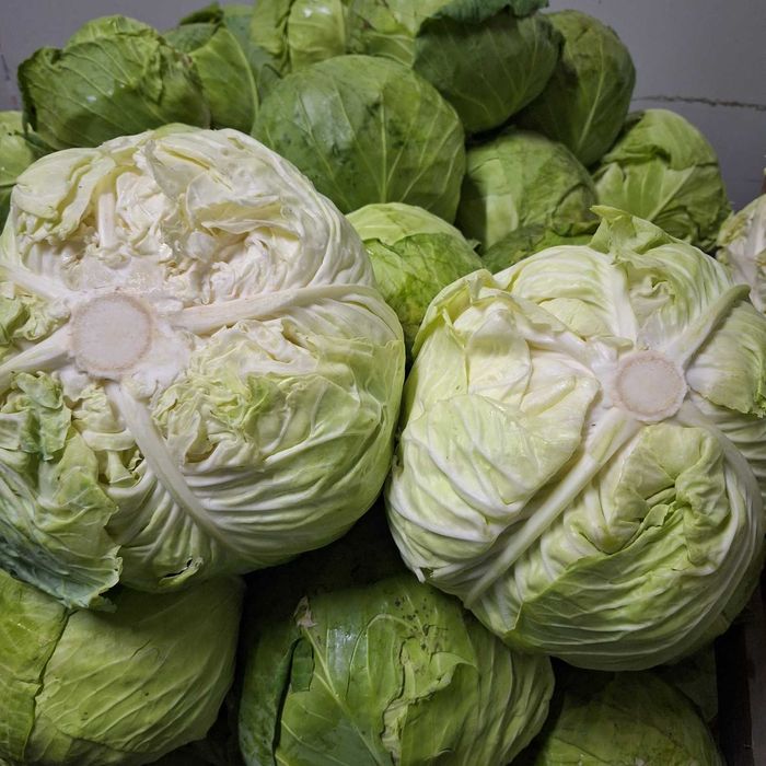 Продаваме кьосе и марул