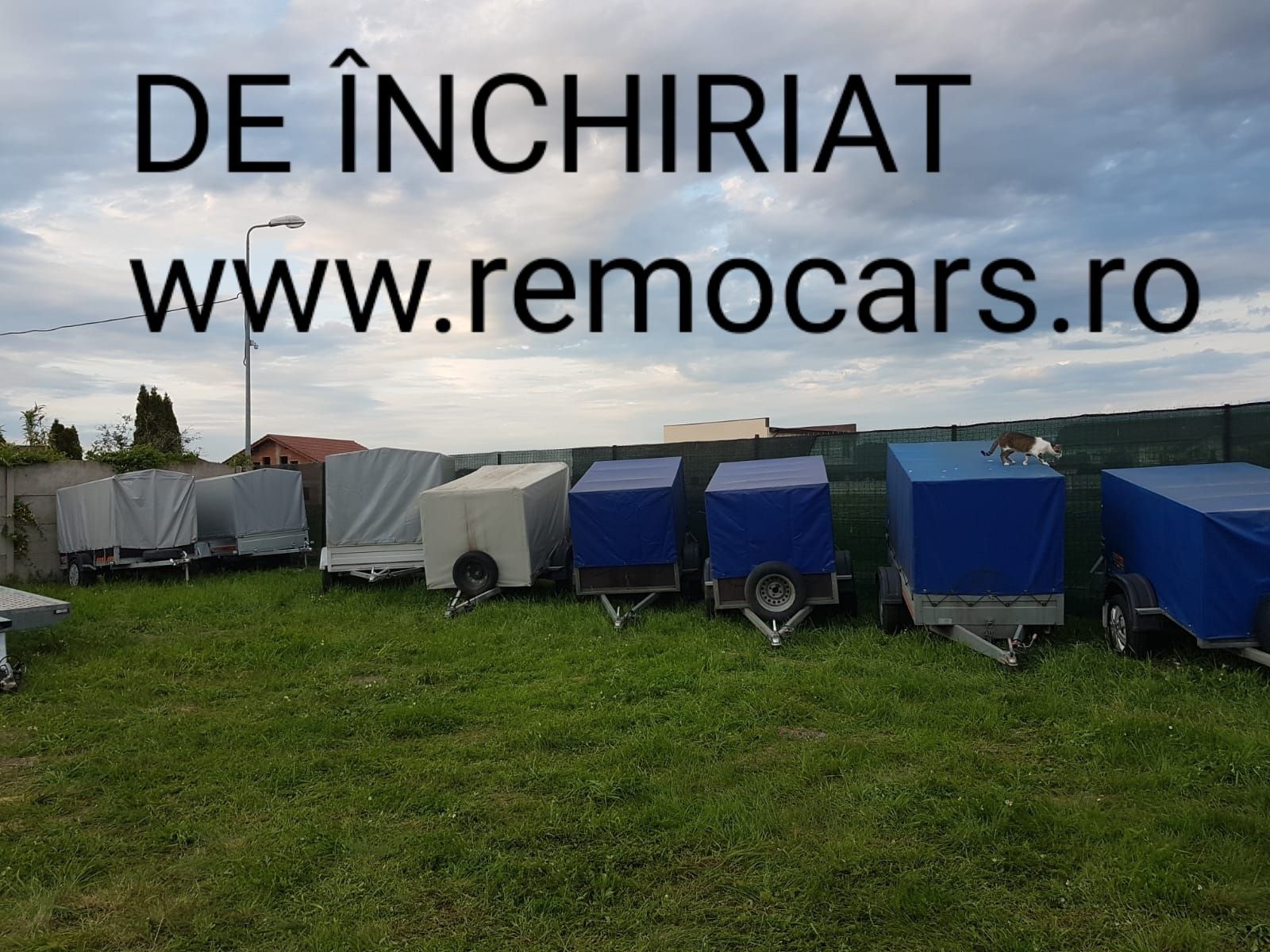 Inchiriez remorci si platforme/trailere auto 750kg-2000kg Timisoara