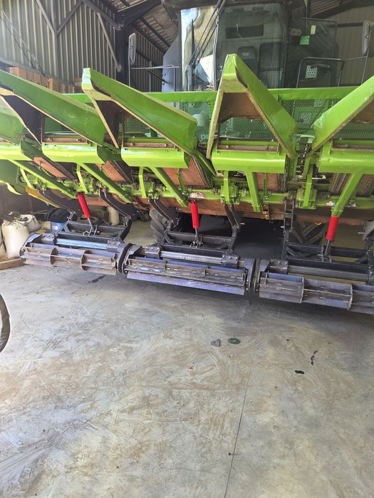 Vând rips floarea soarelui cu tocator