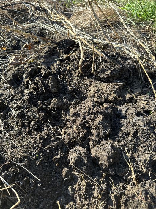 Ingrasamant bio/gunoi/mranita