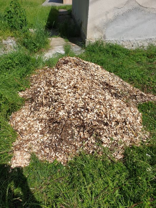 Tuns iarba, tocat crengi, toaletat pomi și gard viu