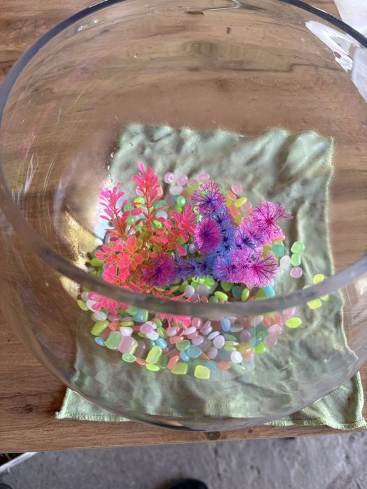 Bol mare echipat cu plante artificiale,pietre colorate,acvariu 6 litri