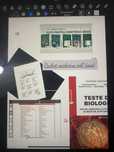 pachet PDF umf medicina