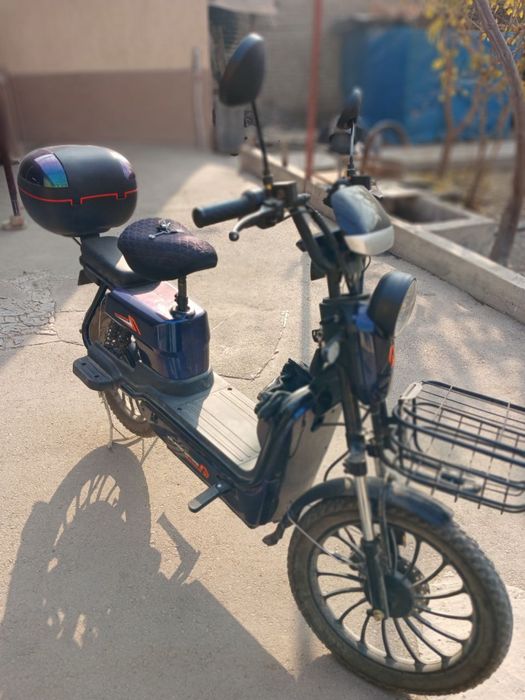 Скутор мапет ходати янги бехижолат