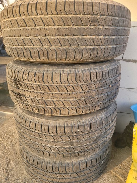 Диск с ризиной...