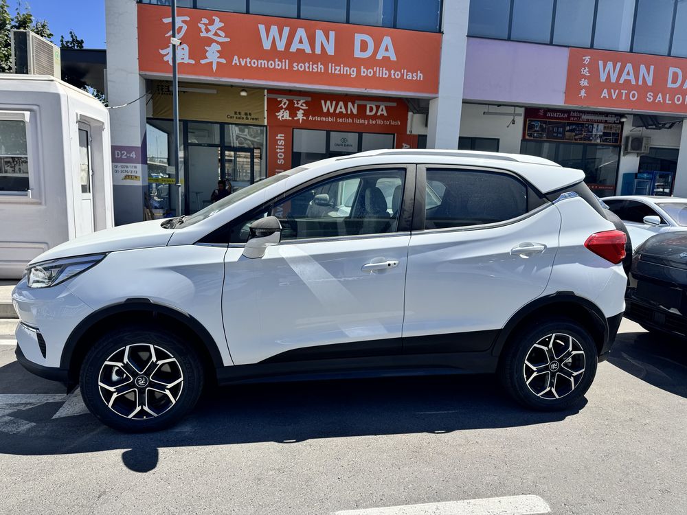 Byd yuan pro 401 km