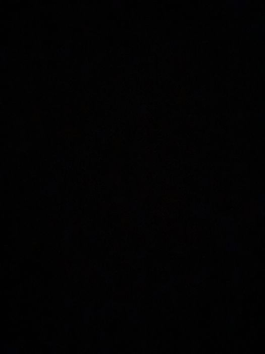 Iepuri belgeieni de vanzare