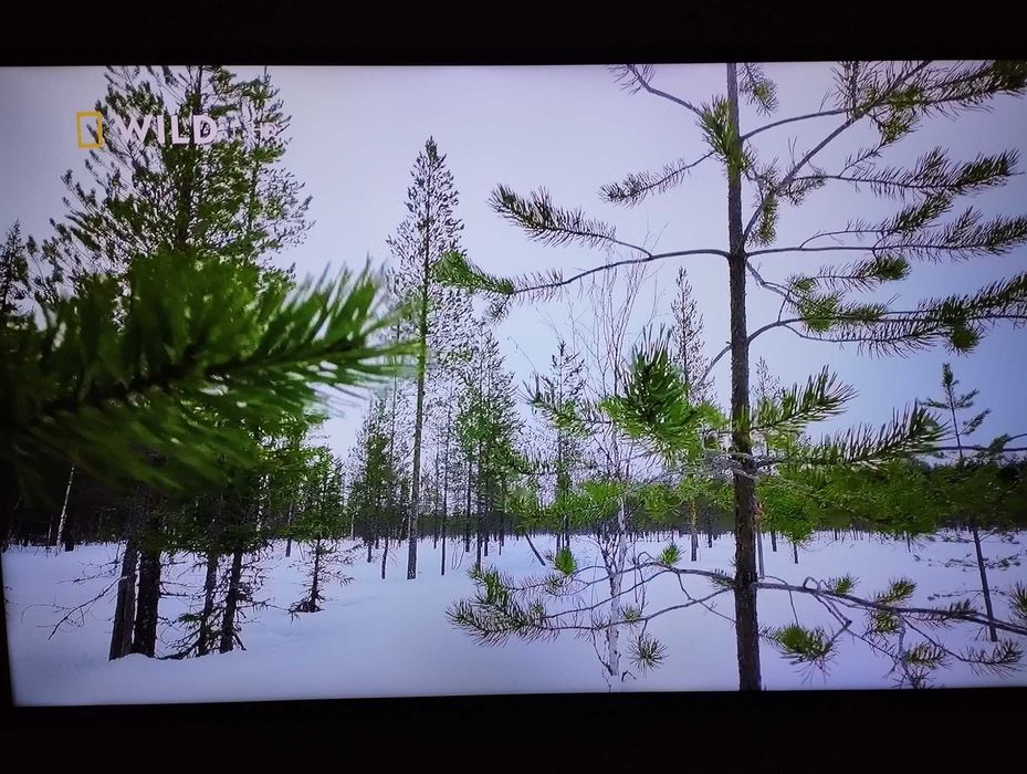 Телевизор 43' Philips UHD 4K SMART като нов