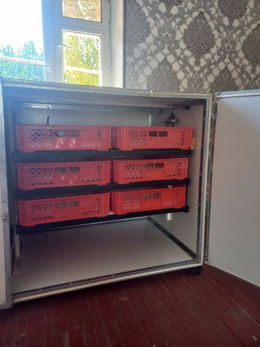 Inkbator sotiladi528talik