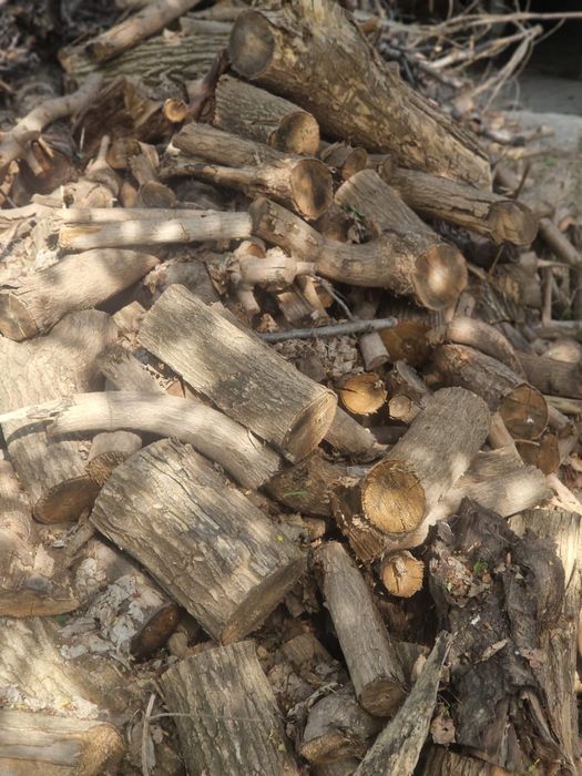 Дрова, ветки и бревна