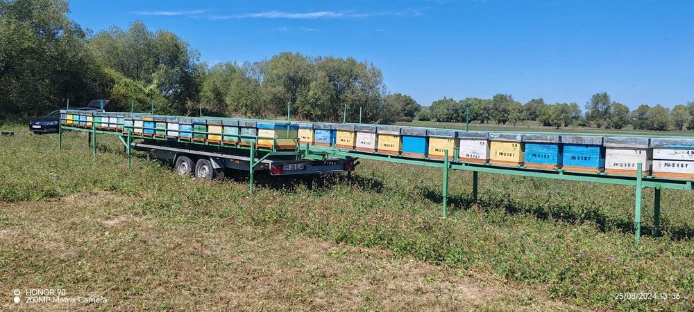 Platformă auto  Apicultor 2700kg