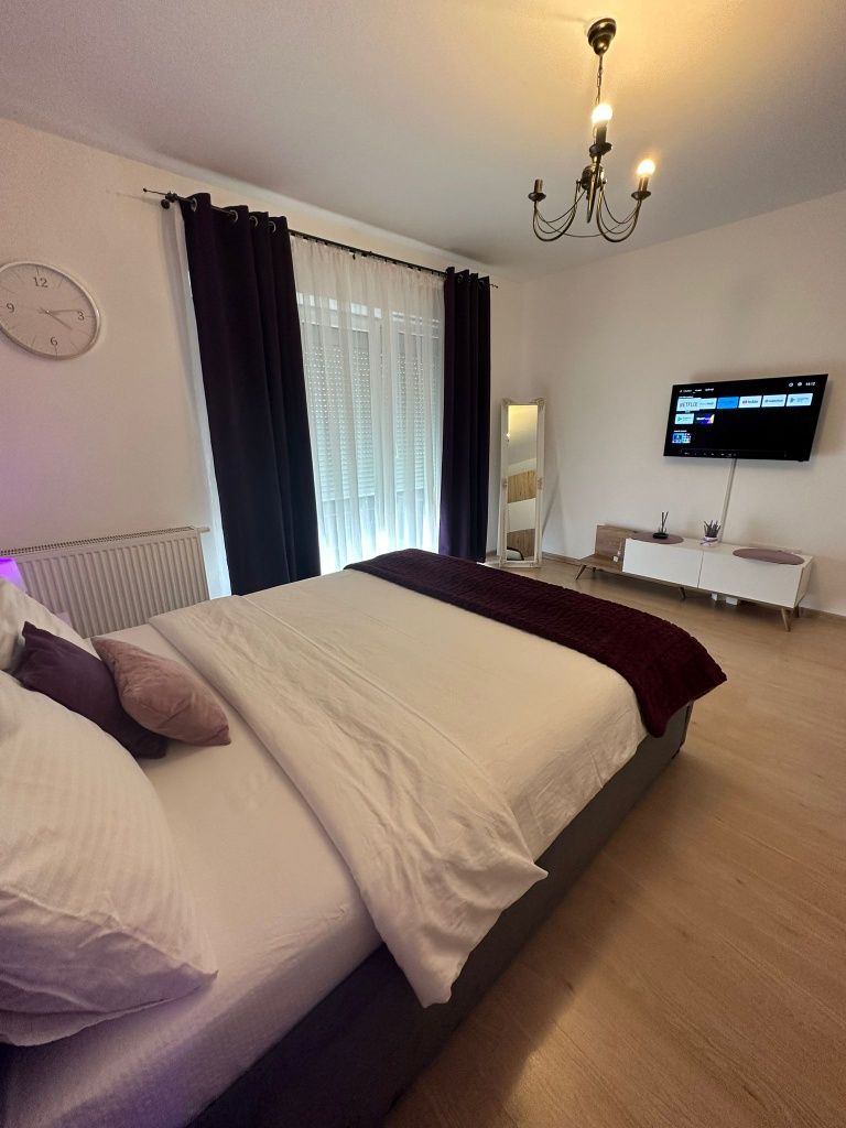 Cazare Regim Hotelier Sibiu/ Avantgarden 3