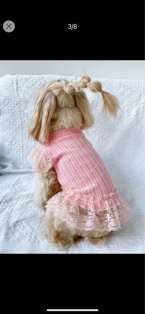 Розова рокля за куче