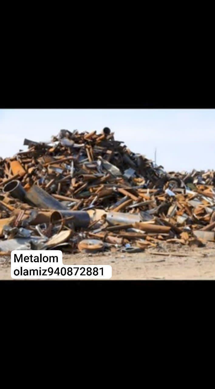 Mitalom olamizyig