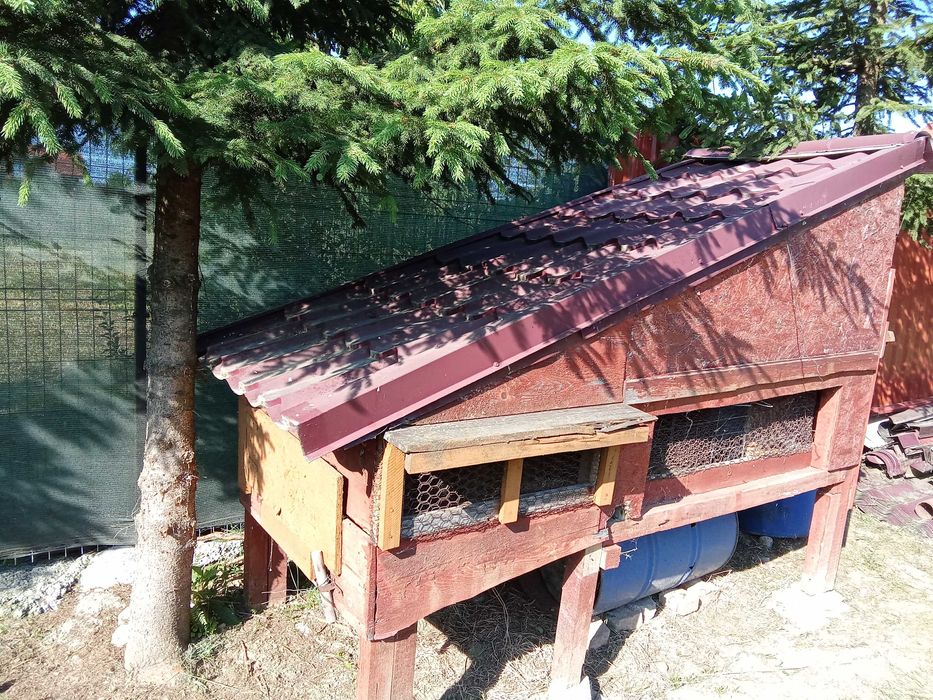 vand cusca , cotet 300 ron