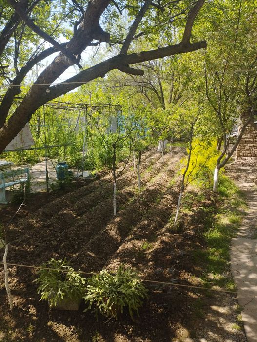 Тошкент вил бостонлик үи сотилади хужати бор 11 сотых газ свет су бор