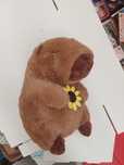 CapyBara plus cu floarea soarelui