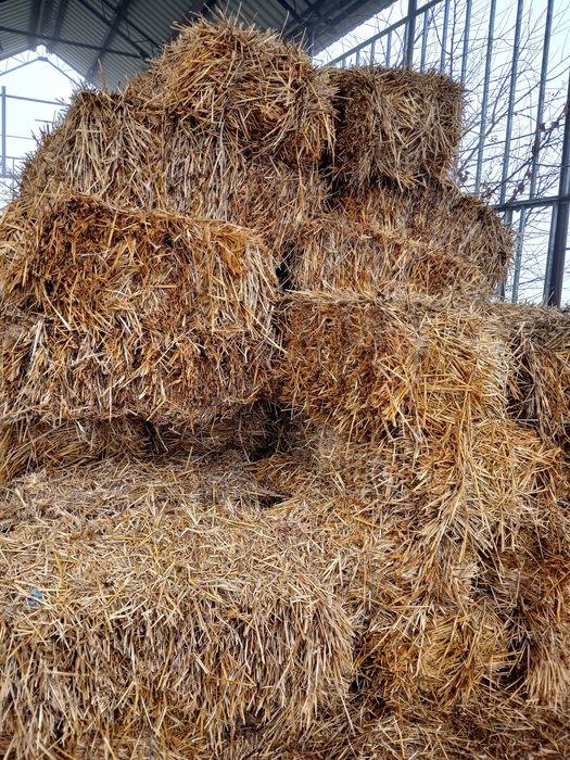 Baloti de paie dreptunghiulari