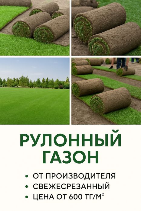 Газон натуральный