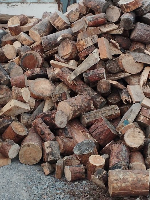 Отын бар дайын кесілген кругляк ағаштан