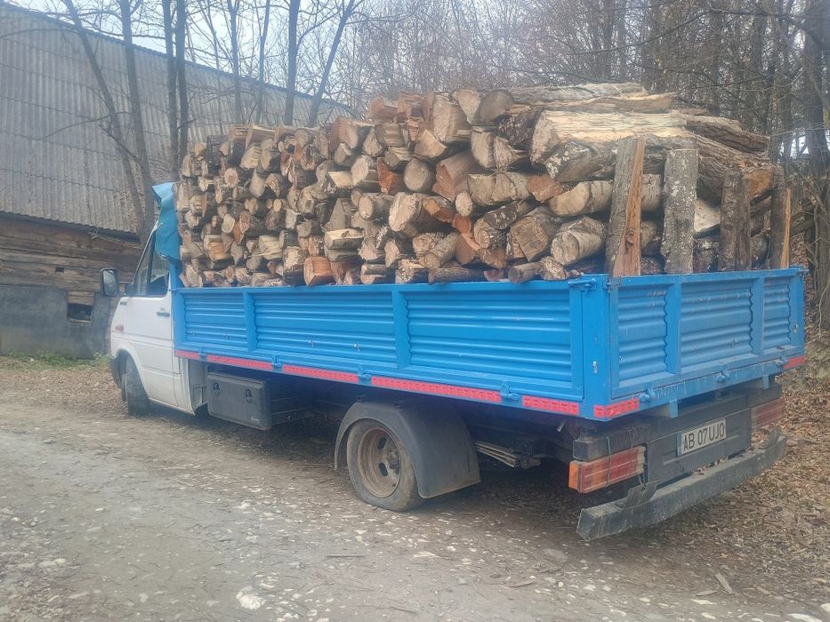 Lemne de foc fag       370 lei metru ster