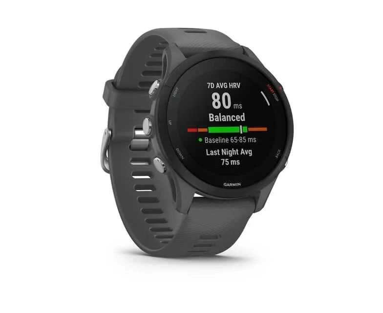 Смарт часы Garmin Forerunner 255 Gray