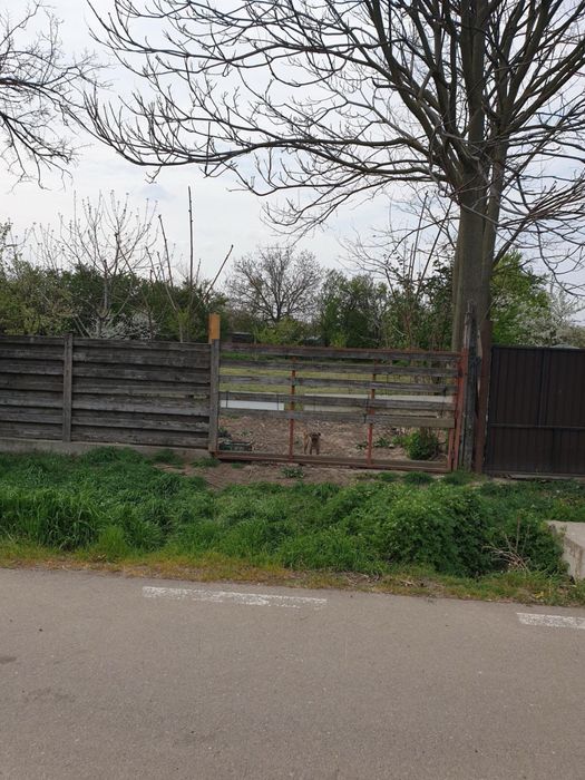 Casa de vanzare in Dridu-Ialomita, curte spatioasa, utilitati, 50km B