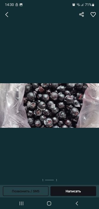 Черноплодная рябина...арония