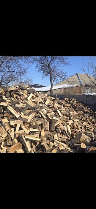 Дрова, Карагач, береза,тополь,спил деревьев,доставка дров