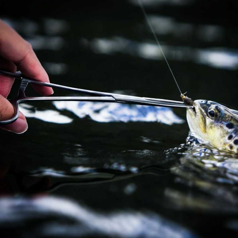 Pense pescuit Japan Stainless™ penseta pescuit 20,0 cm, curba