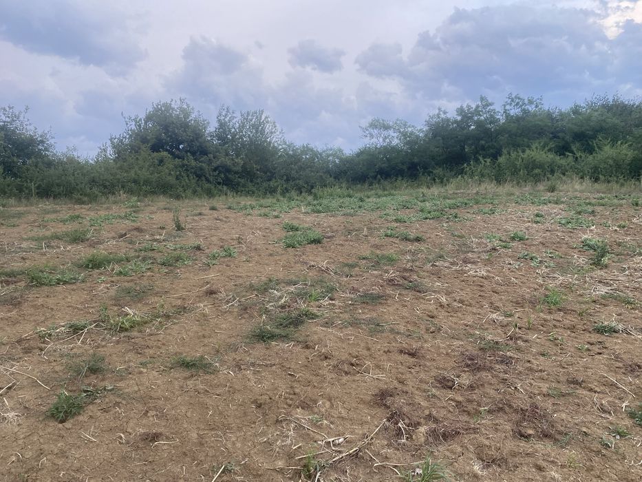 Teren watman 1500 m2