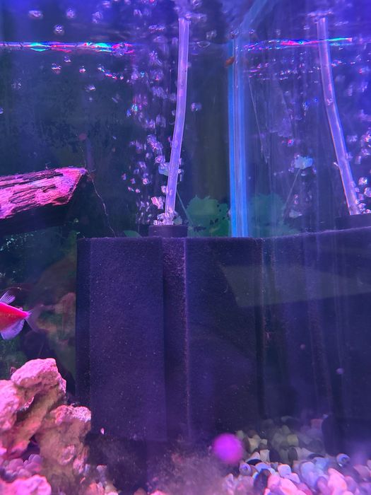 Аквариум 84 литра - отлично състояние