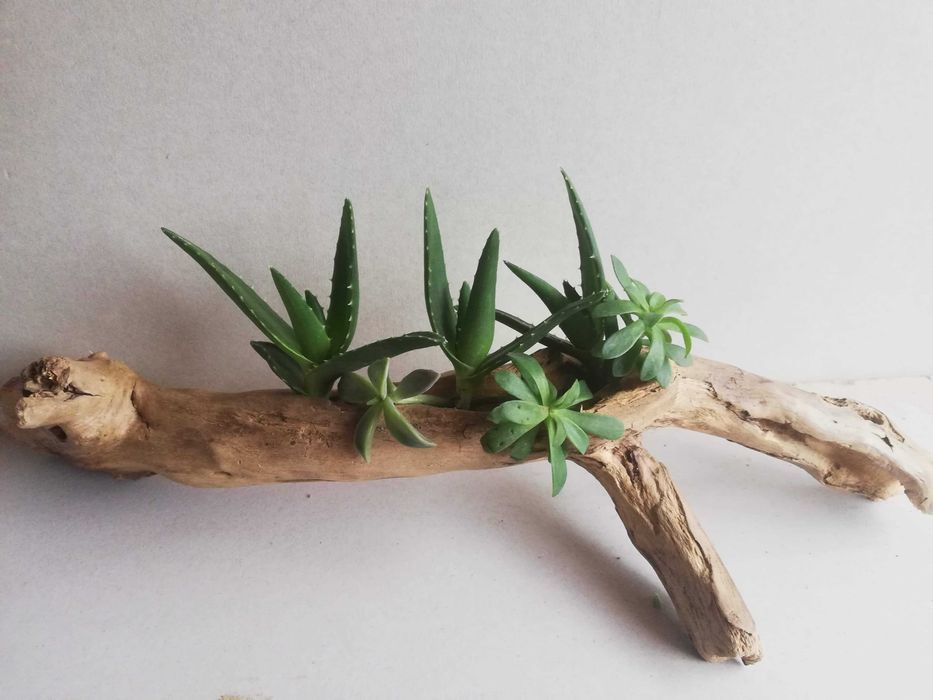 Ръчни дървени саксии