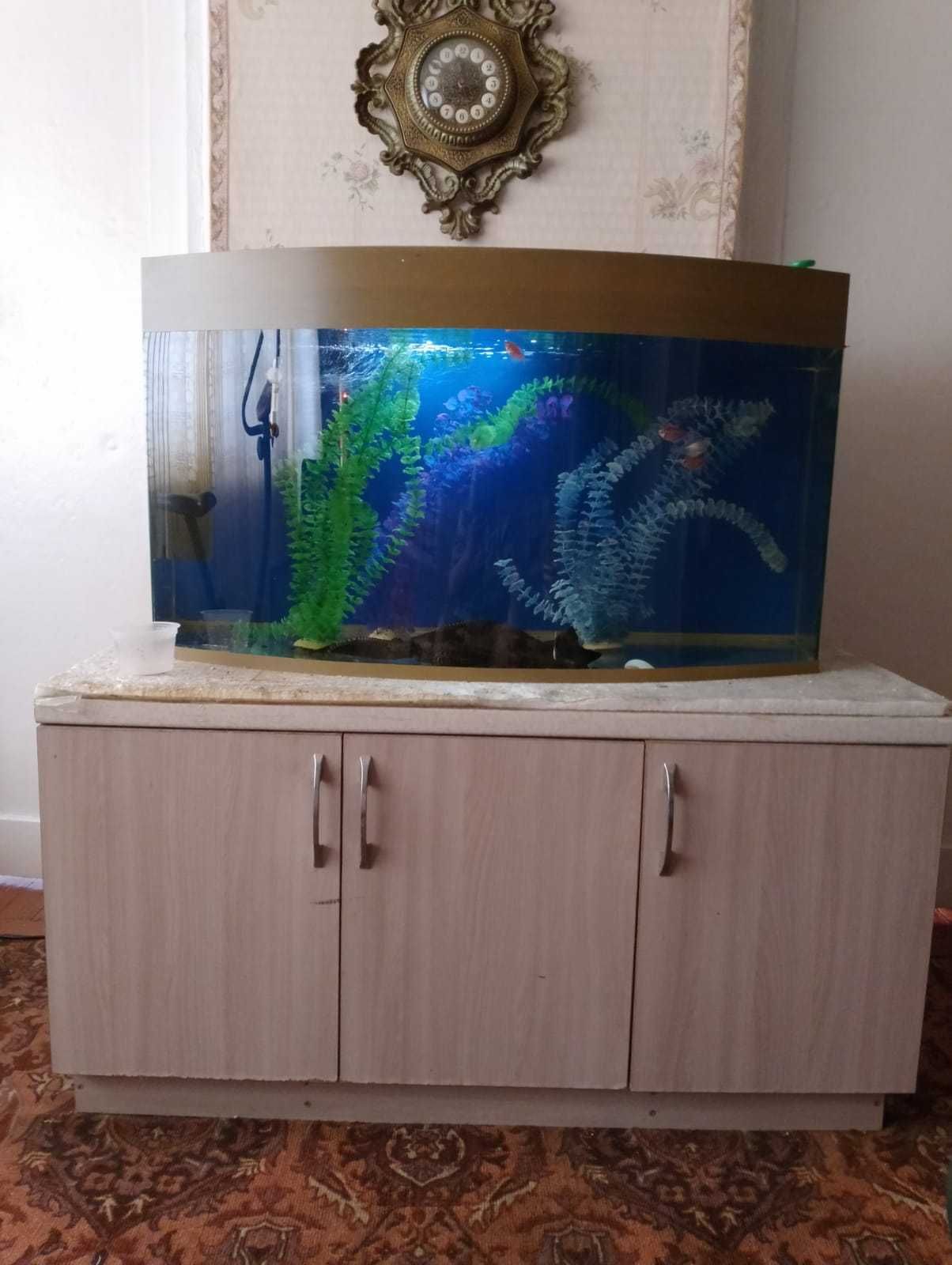 Продам аквариум срочно