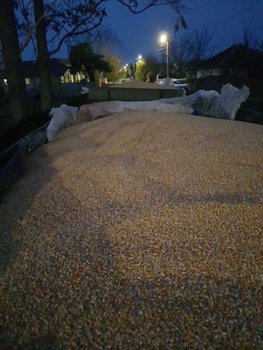 Vand Porumb boabe Judetul Ialomita