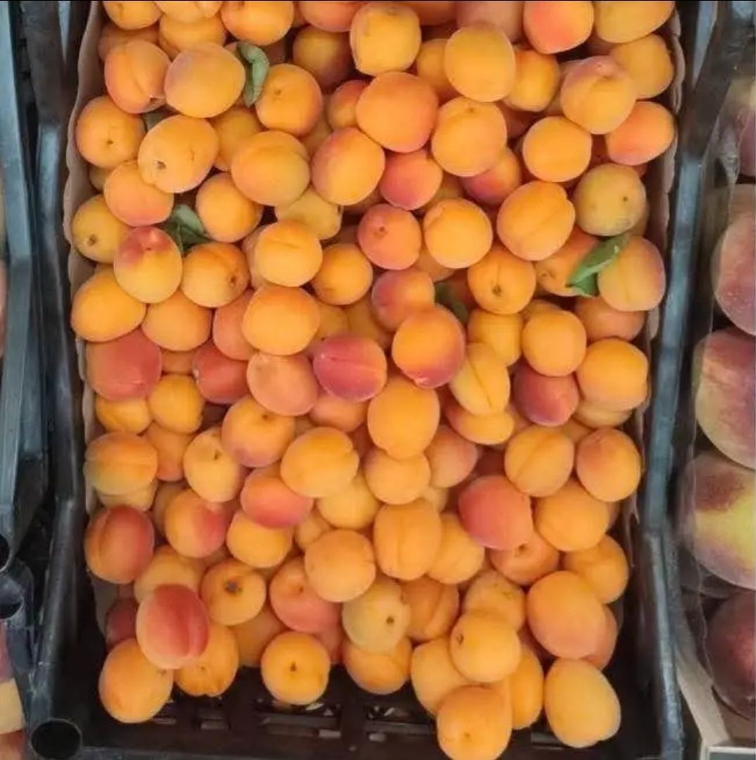 De vanzare Caise de țuică