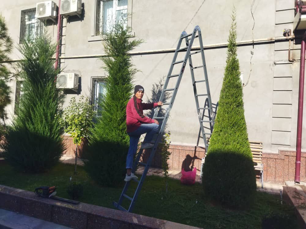 Archa kesish va Rulanovoy chim yotqizish Gazon lanshaft