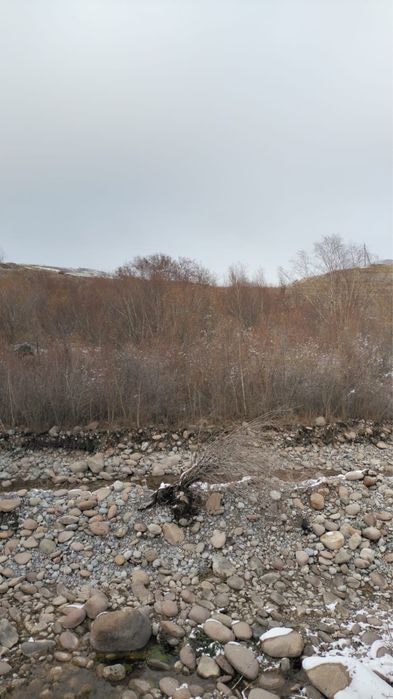 Недвижимость срочно