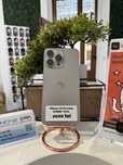 iPhone 15 Pro Max 512Gb 91% - Din magazin,cu garantie!