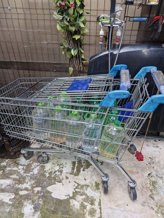 Dulap sertare,tuia,magnolia, manusi gradina cu gheare