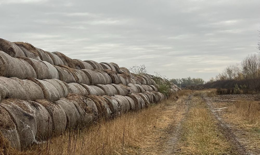 Vand baloti de acum 2 ani