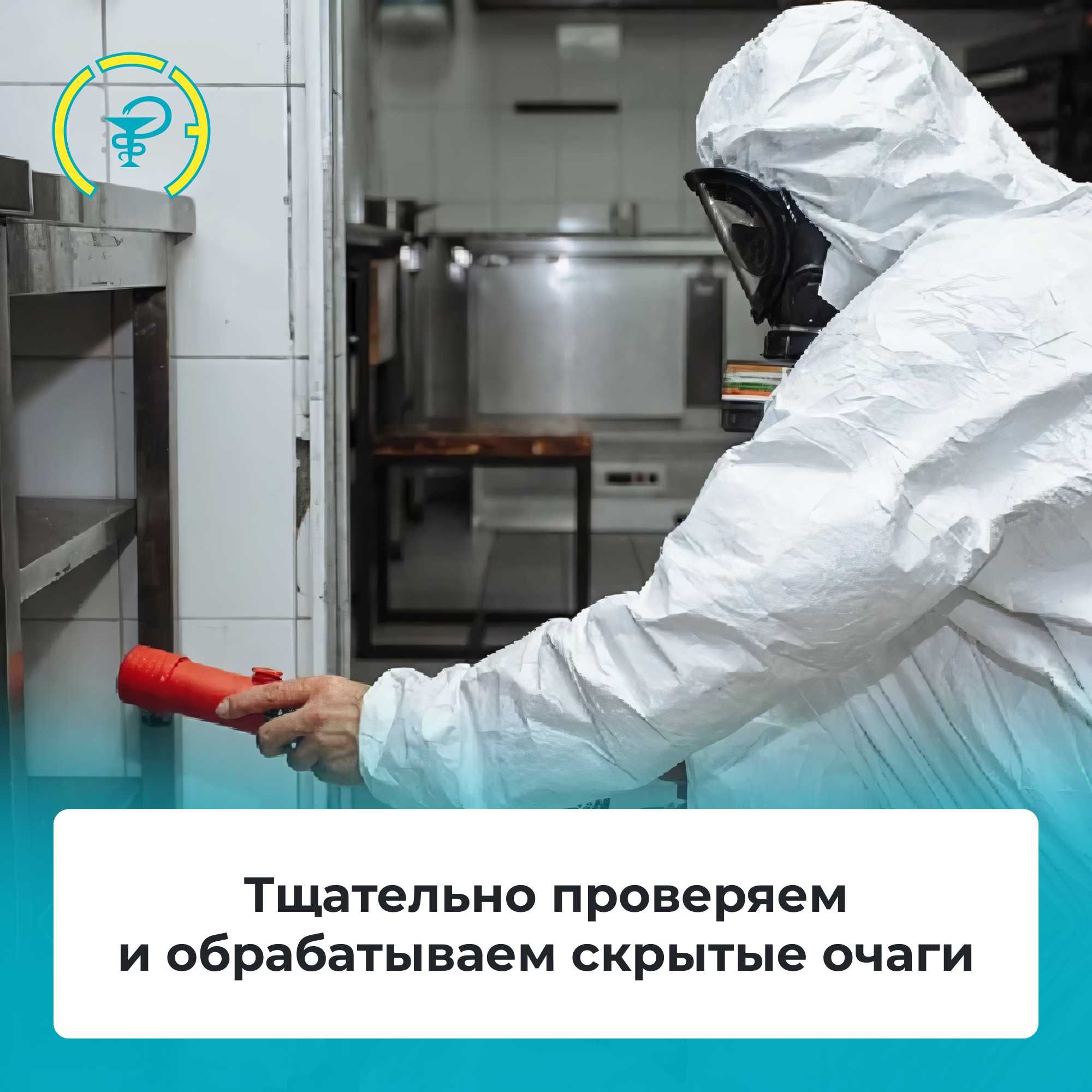 Уничтожение тараканов клопов крыс запахов плесени муравьев пауков